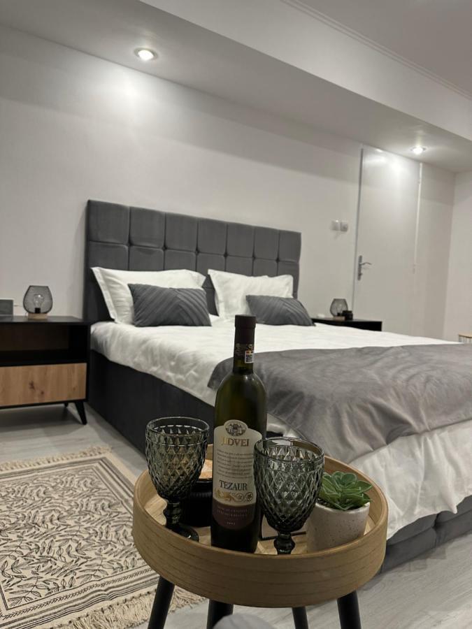 Saguna Residence2 Сигишоара Екстериор снимка